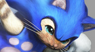 Sonic aussi part chasser du monstre !