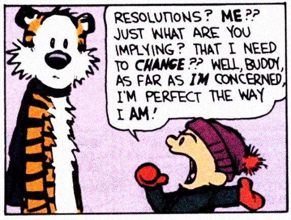 Bonne Année 2013
